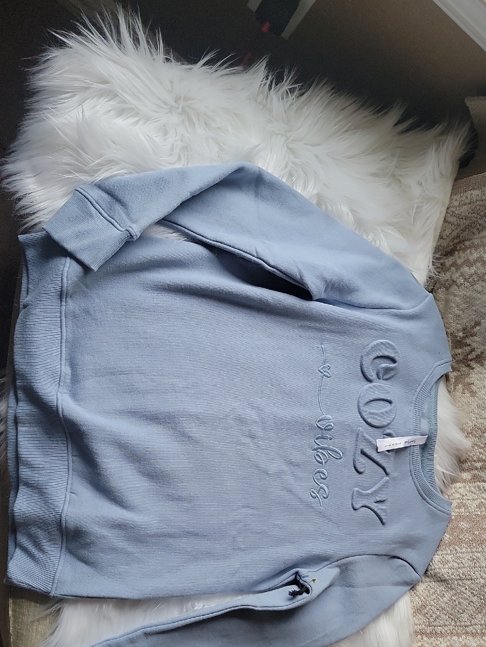 Cozy Light Blue 'Cozy Vibes' Embroidered Sweatshirt